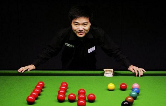 的新生力量 的新生力量